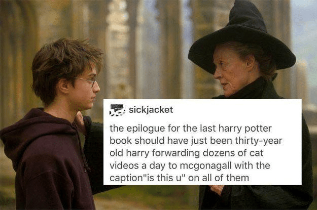 This meme shows a scene from Harry Potter with Professor McGonagall and a young Harry Potter, overlaid with a humorous text post. The text suggests a funny alternative epilogue for the series, where a thirty-year-old Harry spends his time forwarding cat videos to McGonagall with the caption “is this u” on each one. The meme humorously imagines a lighthearted, mundane future for Harry, poking fun at modern texting habits and his relationship with McGonagall.